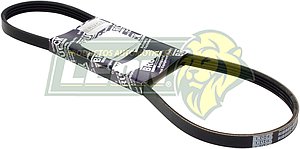 BANDA POLY-V A.A. TSURU III 01-08 1.6L 16V (K040400, 4PK1016) BRUCK