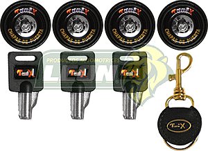 CHAPA DE SEGURIDAD AUTOMOTRIZ 4 CHAPAS