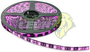 ROLLO HIPERLEDS (300 LEDS 5050 ROSAS) 5 mts. RECORTABLE (5M-PNK)