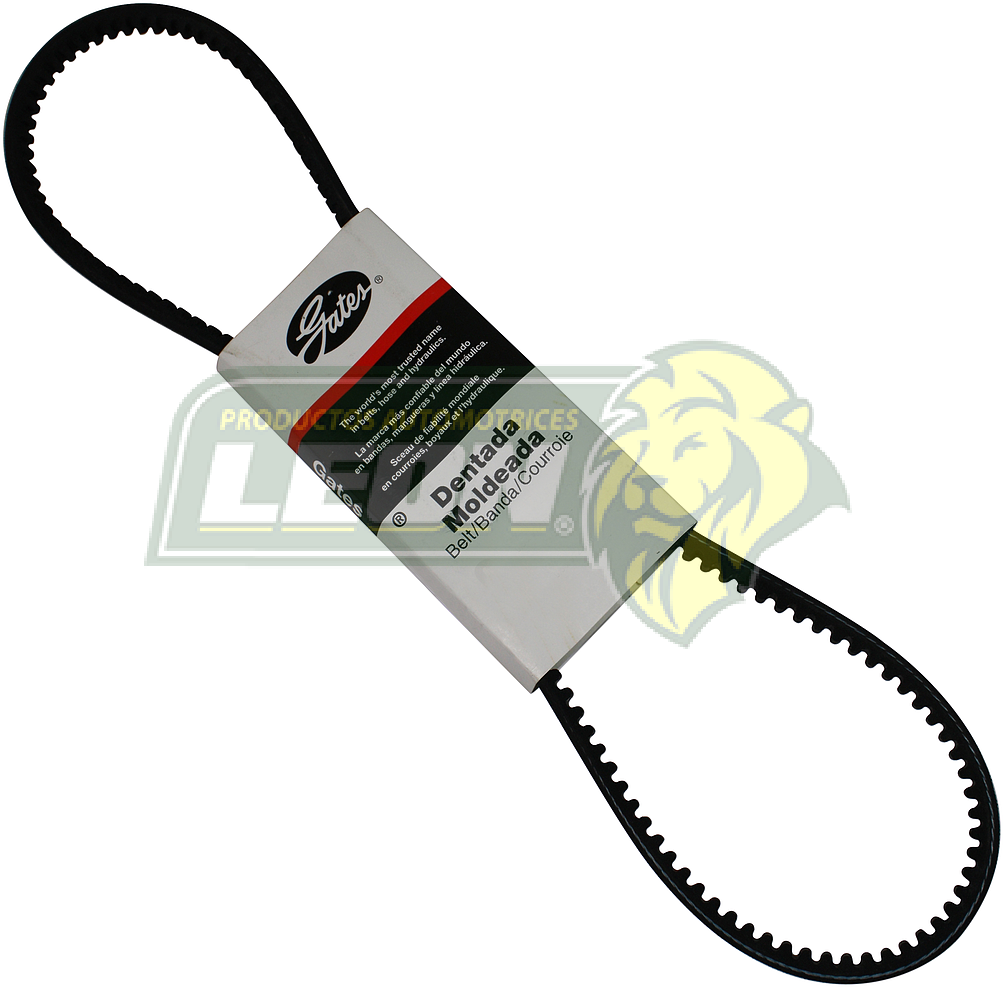 BANDA DENTADA 9.5x972 mm ALT. FORD F-350 5.0L 81-86, G.M. MALIBU 4.1L, NOVA 4.1L, C-10 5.7L, C-15 4.1L, D.H. CORONET, CHARGER Y DART GTS V8